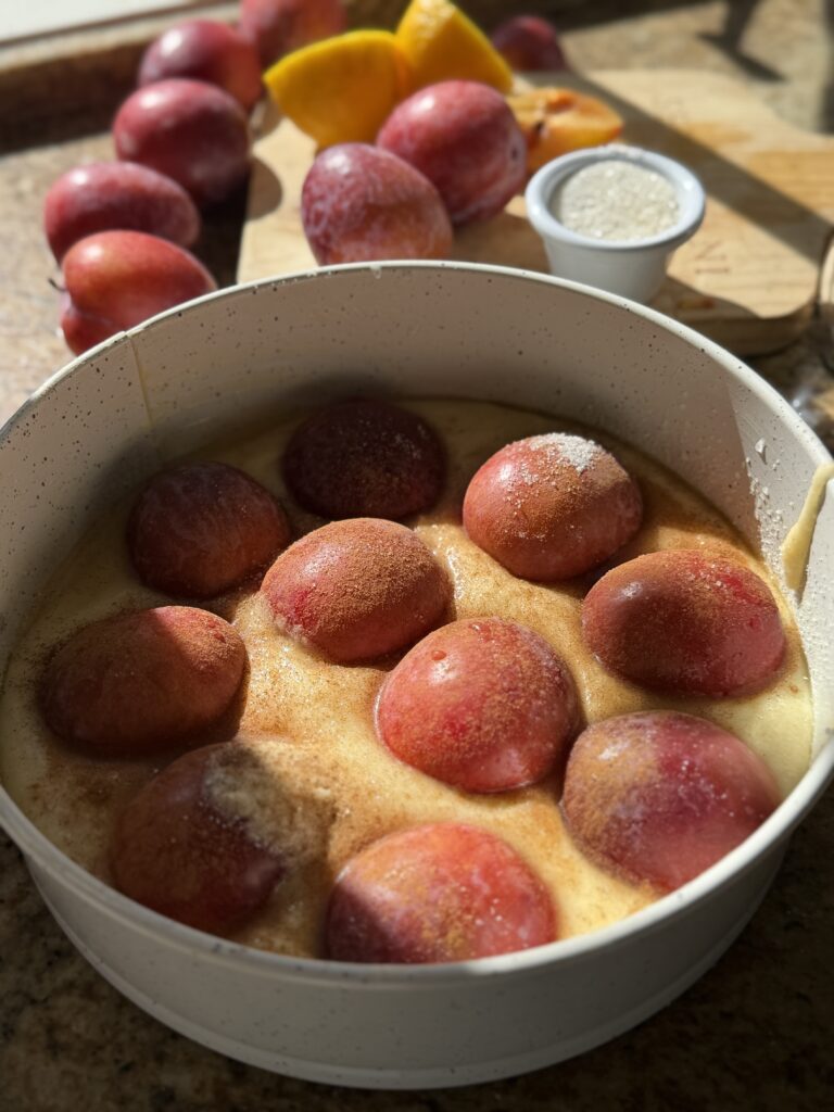 Plum halves in batter with sugar and cinnamon in a springform pan