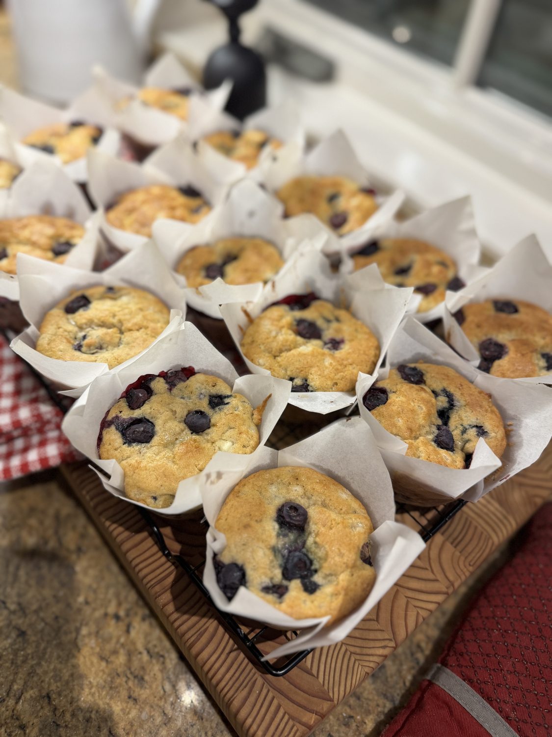 A batch of cottage cheese blueberry muffins on a red gingham towel