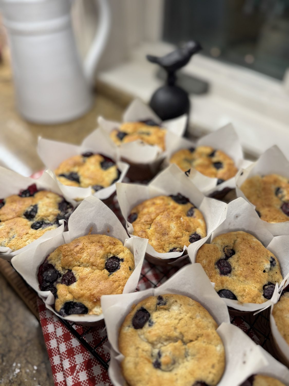 High-protein gluten-free blueberry muffins cooling on a wire rack