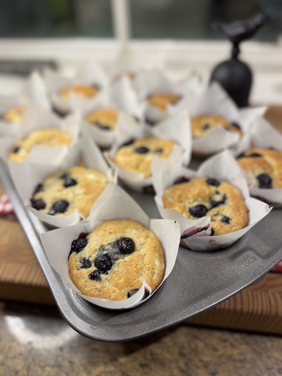 Gluten-free blueberry muffins fresh from the oven in a muffin tin